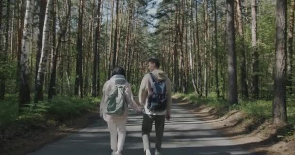 Gyönyörű Fiatal Pár Hátizsákkal Erdőben Sétálva Élvezi Természetet Napos Nyári — Stock videók