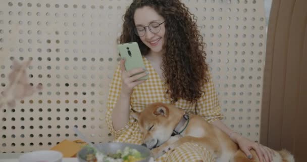 スマホを使い ペットフレンドリーなカフェに座って柴犬を撫でる若い女性 所有者はソーシャルメディアをチェックしながら 快適な動物の睡眠と笑顔 — ストック動画