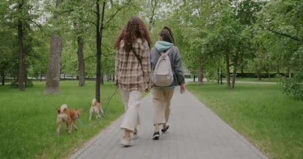 都会の公園で可愛い柴犬を歩いている若い女性たちの姿をバックに 自然を楽しみながらペットと過ごす時間 人間と動物の概念 — ストック動画