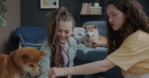 犬柴犬と遊ぶ楽しい若い女性が繁殖し アパートで過ごす時間を話しています 友情と家畜の概念 — ストック動画