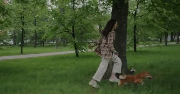 公園で楽しい柴犬と一緒に走る楽しい若い女性のスローモーション 健康的なライフスタイルと家畜のコンセプト — ストック動画