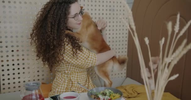 Повільний Рух Молодої Жінки Обіймає Погладжує Милий Собаку Шиба Іну — стокове відео