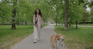 Kasabanın parkında iki şirin Shiba Inu köpeğiyle gezen neşeli genç kadın hayvan sahibi. Hayvan bakımı ve doğal çevre kavramı.