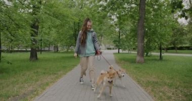 Güzel bir yaz parkında iki Shiba Inu köpeğiyle yürüyen mutlu genç bir kadının portresi. Üreme aktivitesi ve evcil hayvan konsepti.