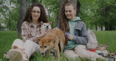 Parkta Shiba Inu köpekleriyle oturup evcil hayvanlara sevgilerini ifade eden mutlu genç kadın arkadaşlarının yavaş çekimde portresi. İnsanlar ve hayvanlar kavramı.
