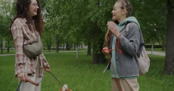 在公园的草地上散步的女人们一边说着话 一边健康的狗宝宝们一边吃着草 动物服务和自然概念 — 图库视频影像