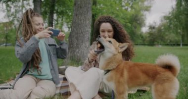 Arkadaşı parkta akıllı telefon kamerasıyla fotoğraf çekerken genç bir kadın shiba inu köpeğiyle oynuyor. Modern teknoloji ve hayvan konsepti.