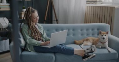 Kız öğrenci evde dizüstü bilgisayar kullanırken Shiba Inu köpeği oturma odasında kanepede yatıyor. Modern yaşam tarzı ve eş hayvan konsepti.