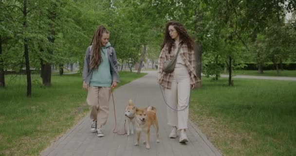Dolly Tiro Jovens Amigas Caminhando Shiba Inu Cães Falando Aproveitando — Vídeo de Stock