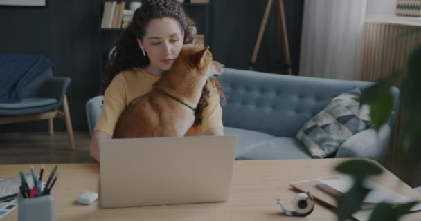 Dizüstü Bilgisayarla Çalışan Evinde Shiba Inu Köpeği Tutan Kablosuz Kulaklıkla — Stok video