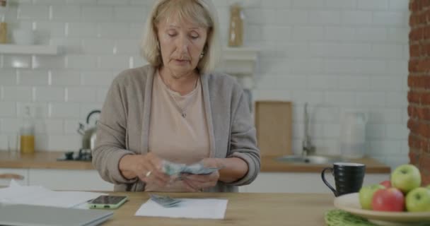여성은 예산을 계산하고 부엌에서 스마트폰을 은퇴의 — 비디오