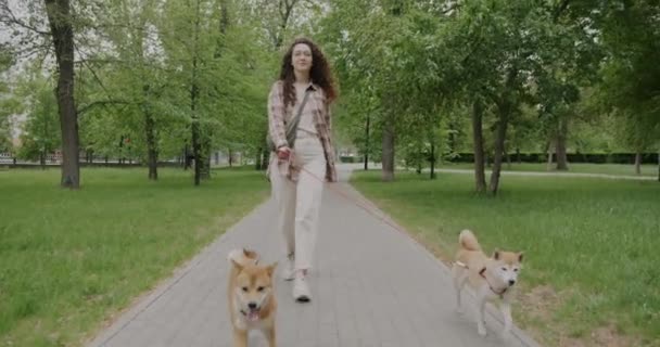 Movimiento Lento Niña Feliz Caminando Con Dos Perros Shiba Inu — Vídeos de Stock