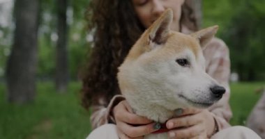 Parkta çimlerde oturan ve yaz gününün tadını çıkaran Shiba Inu köpeğini okşayan genç bir kadının yakın çekimi. Hayvan ve eğlence konsepti.