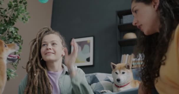 笑容满面的年轻女性朋友在家里和活泼的狗儿玩球 动作缓慢 家畜和友谊概念 — 图库视频影像