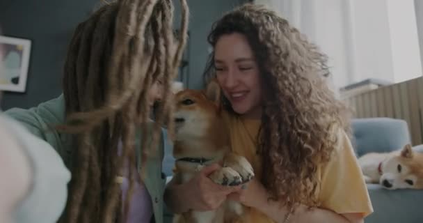 オンラインでビデオ通話をする若い女性姉妹の肖像画は 自宅で柴犬と話をしたり笑ったりしています コミュニケーションとペットの概念 — ストック動画