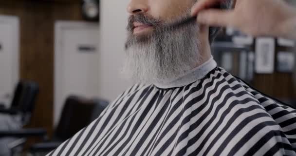 头发灰白的成熟男子在理发店接受专业治疗 理发师则梳理胡子 时尚美容院的概念 — 图库视频影像