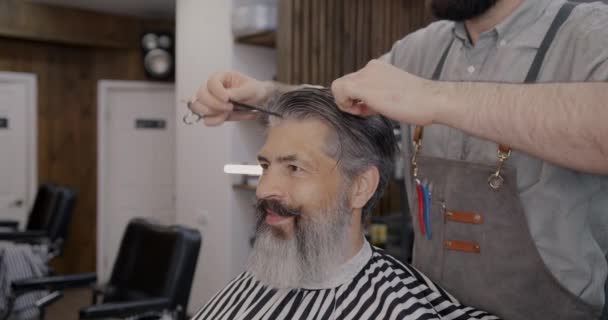 在理发店理发和理发时 成熟男人客户面带微笑 两人和美发师的概念 — 图库视频影像