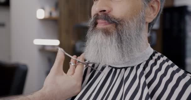 白发男子在理发店接受胡子治疗 而主人则用剪刀 专业职业和理发技能概念 — 图库视频影像