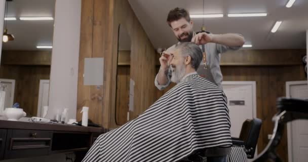 理发师与客户一起在理发店里梳理灰白的头发 在室内大笑 专业职业和美容院概念 — 图库视频影像
