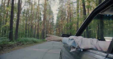 Kadın eli, Forest Road 'da araba sürerken arabanın camından dans ederken yakın plan. Seyahat ve turizm konsepti.