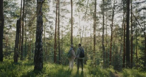 Vue Arrière Homme Femme Debout Dans Forêt Ensoleillée Tenant Main — Video