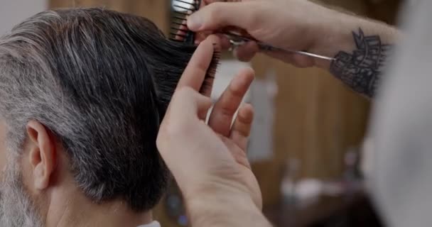 Zbliżenie Wykwalifikowanego Fryzjera Cięcia Mans Siwe Włosy Profesjonalnych Nożyczek Tworząc — Wideo stockowe
