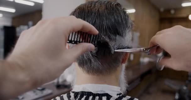 Close Widok Tyłu Rąk Nożyczkami Grzebień Cięcia Siwych Włosów Salonie — Wideo stockowe