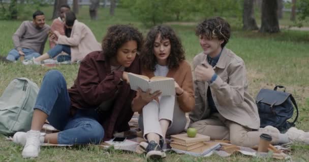 各种各样的年轻人在公园里学习 在户外看书 享受团队精神 聪明的青年和教育概念 — 图库视频影像