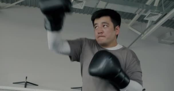 Profesyonel Asyalı Boksör Eğitiminin Portresi Gölgelerle Dövüşerek Spor Salonunda Çalışmaya — Stok video