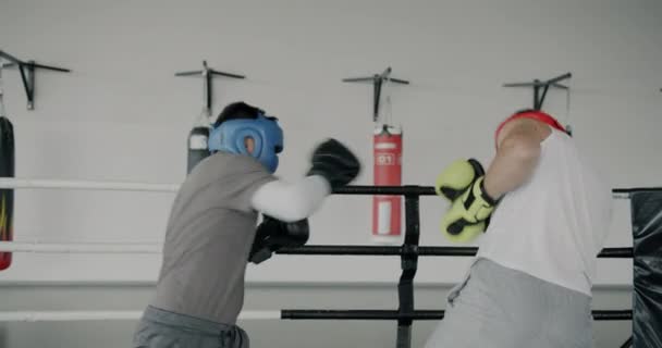 Movimento Lento Homens Jovens Boxers Treinando Juntos Dando Socos Trabalhando — Vídeo de Stock