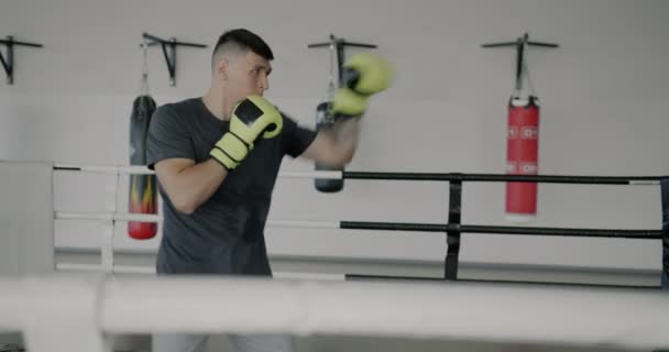 Повільний Рух Мотивованого Бійця Насолоджуючись Індивідуальними Тренувальними Боксерськими Рукавичками Рухаються — стокове відео
