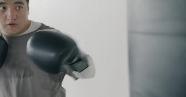 Profesyonel Asyalı Dövüşçünün Spor Salonunda Deri Kum Torbasına Vurması Yavaş — Stok video