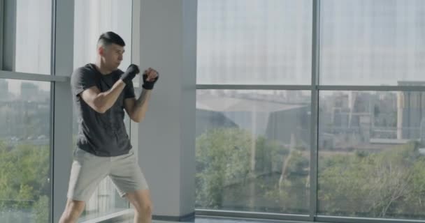 체육관에서 움직임을 펀치를 던지는 액티브 라이프 스타일 — 비디오