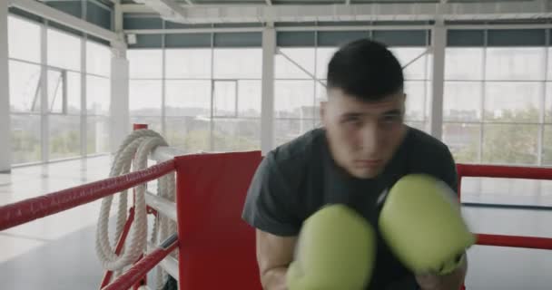 技术高超的拳击手年轻男子在体育馆训练时的慢动作肖像 在拳击台上抛掷拳和看镜头 人与体育概念 — 图库视频影像