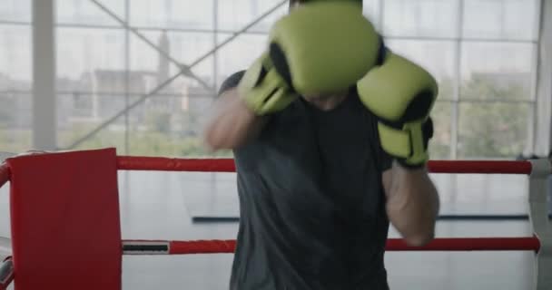 肌肉运动员拳击训练的慢动作肖像 带着手套和镜头在体育馆里进行冲刺训练 武术和体育概念 — 图库视频影像