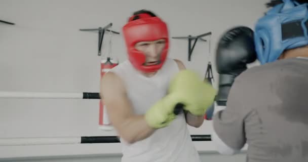 Boxers Lutadores Masculinos Vestindo Capacetes Luvas Treino Sparring Ringue Luta — Vídeo de Stock