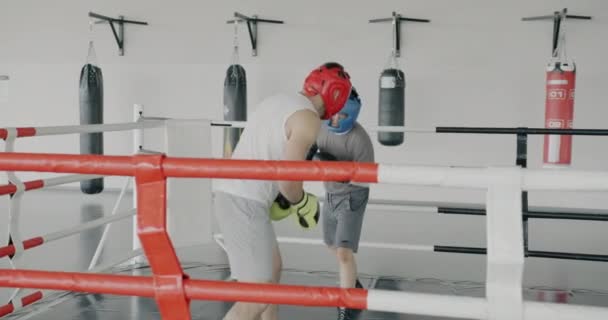 Långsam Rörelse Manliga Boxare Sparring Boxning Ring Träning Tillsammans Öva — Stockvideo