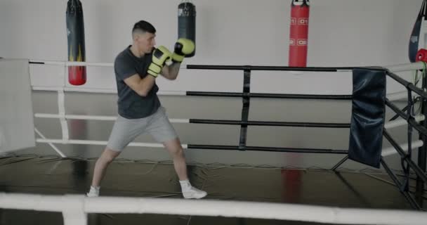 Portret Muskularnego Mężczyzny Trenującego Ringu Bokserskim Rękawiczkach Uderzających Skoncentrowany Walce — Wideo stockowe