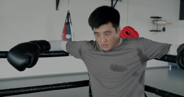 Portretul Boxerului Obosit Transpirat Care Odihnește Fața Ștergerii Colțului Mănușa — Videoclip de stoc