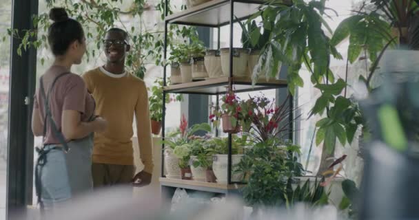 Дружелюбная Продавщица Фартуке Разговаривает Клиентом Показывая Растения Помещении Цветочного Магазина — стоковое видео