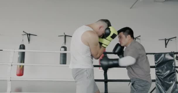 ジムで戦うプロのボクサー アジアの男が勝ちながらコーカサスはリングで落ちる ボクシング競技と武道コンサート — ストック動画