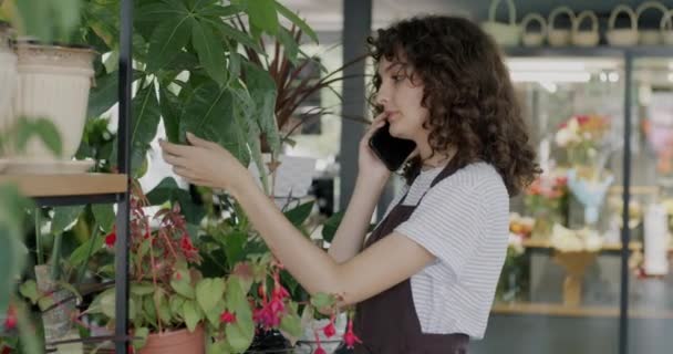 Virágüzlet Alkalmazottja Beszél Mobiltelefon Ellenőrzi Zöld Növények Dolgozik Üzletben Modern — Stock videók