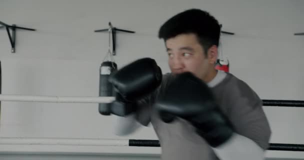 在现代体育中心 亚洲运动员的慢动作主要集中在皮影拳上 积极的生活方式和武术概念 — 图库视频影像