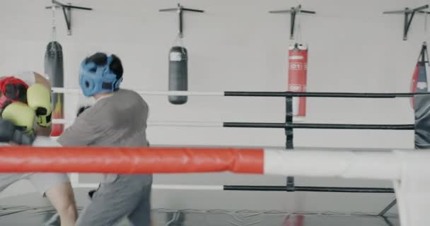 Boks Ringinde Birlikte Dövüşen Genç Güçlü Adamlar Spor Merkezinde Mücadeleye — Stok video