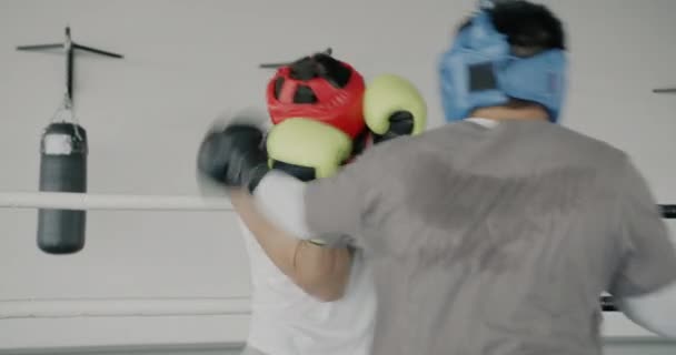 Profesionální Boxeři Mladí Muži Trénují Boxerském Ringu Sportovním Centru Házejí — Stock video