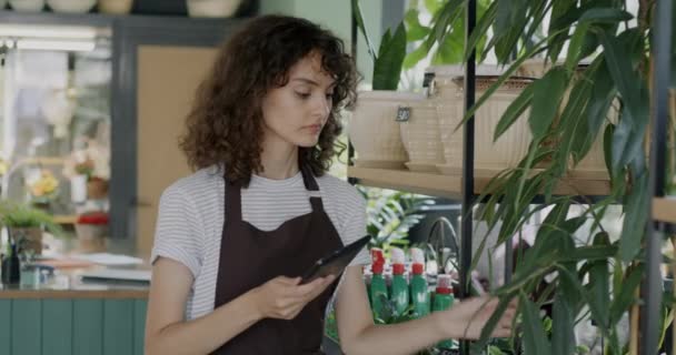 Fiatal Virágárus Segítségével Tabletta Ellenőrzi Gyönyörű Friss Zöld Növények Virágüzlet — Stock videók