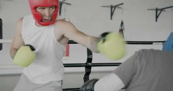 Movimento Lento Jovens Atletas Boxeadores Lutando Ringue Boxe Dando Socos — Vídeo de Stock