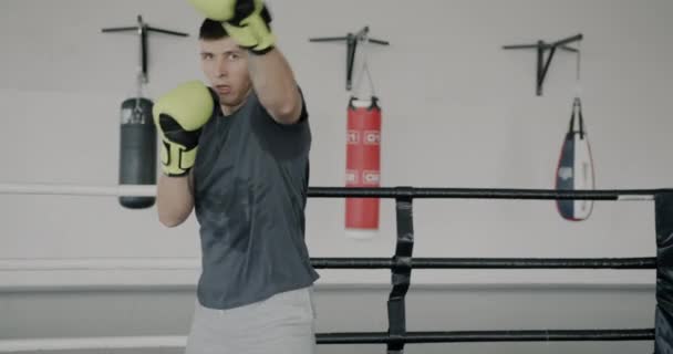 Retrato Cámara Lenta Del Boxeador Profesional Que Demuestra Golpes Ring — Vídeos de Stock