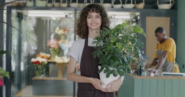 Retrato Una Joven Asistente Floristería Pie Tienda Sosteniendo Planta Maceta — Vídeos de Stock
