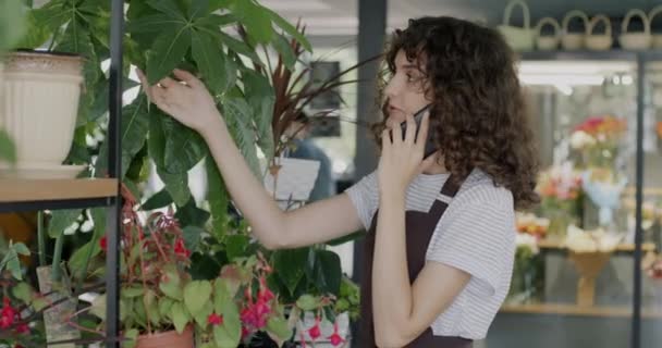 Virágüzlet Üzlet Tulajdonos Fiatal Kötény Beszél Ügyfél Mobiltelefon Nézi Zöld — Stock videók